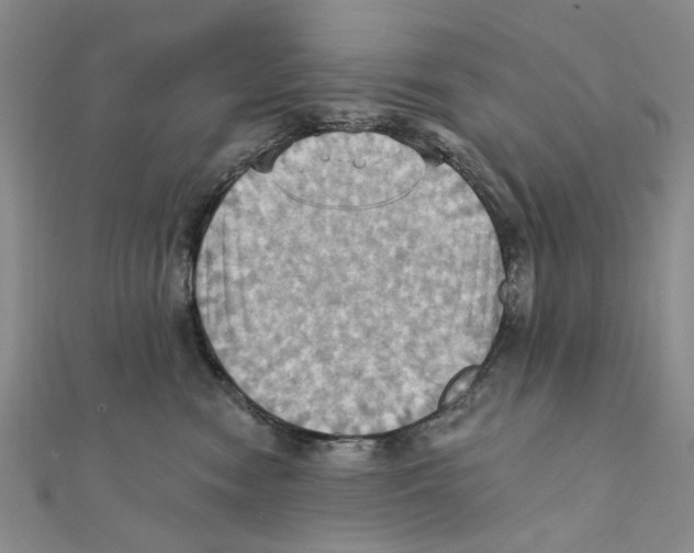 X0000111360474200908071157