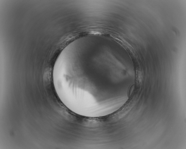 X0000111360475200908071157