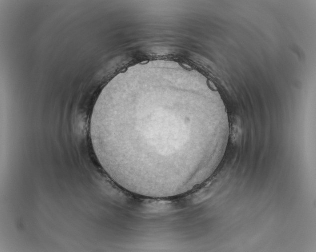 X0000111360476200908071157