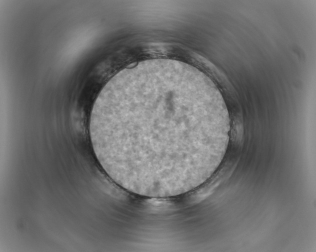 X0000111360477200908071157