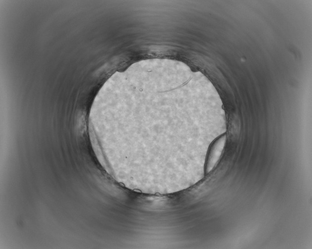 X0000111360478200908071157