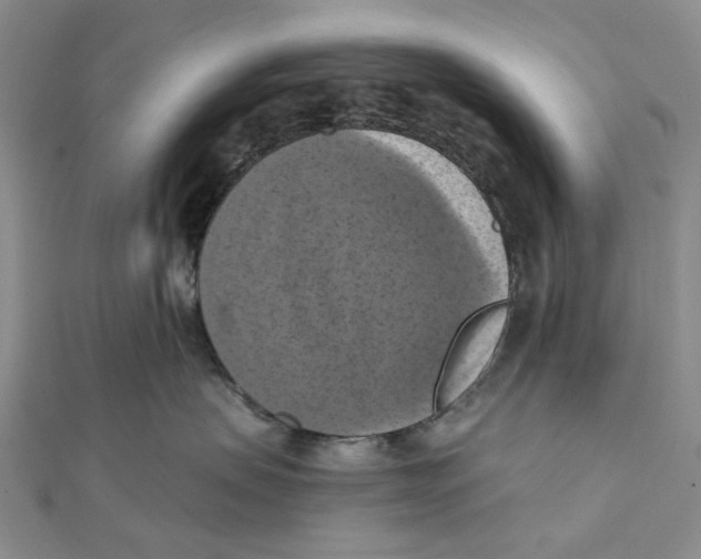 X0000111360479200908071157