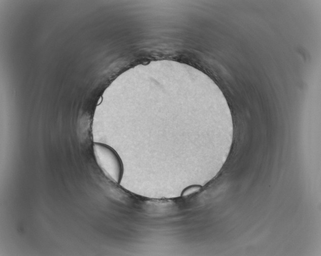 X0000111360480200908071157