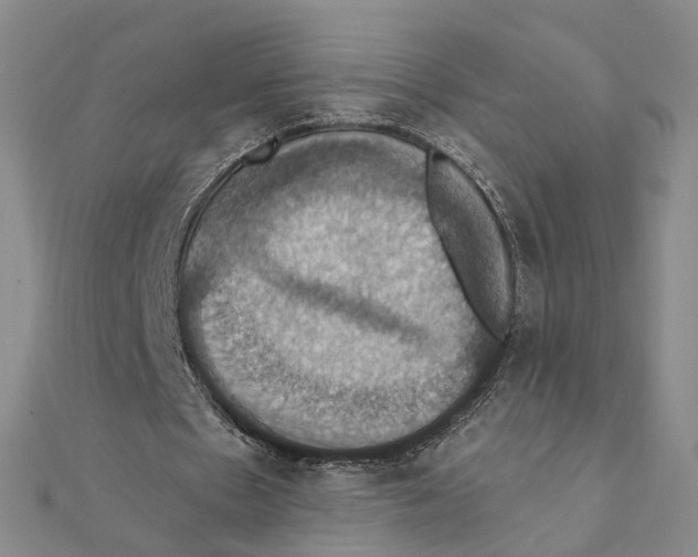 X0000111360481200908071156