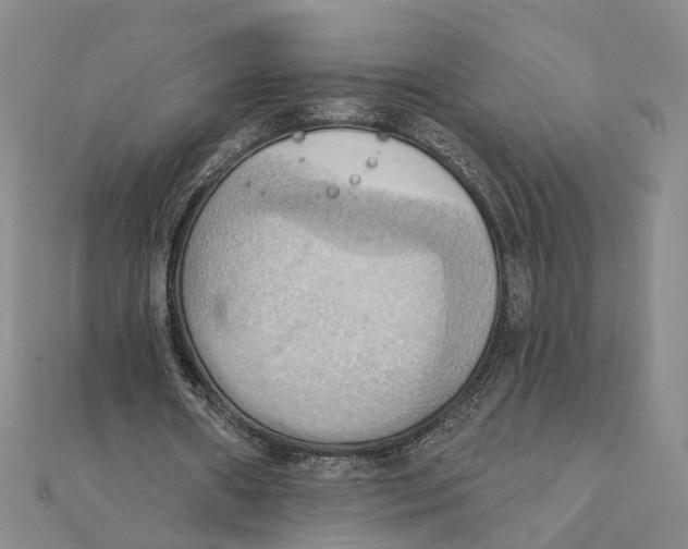 X0000111360482200908071156