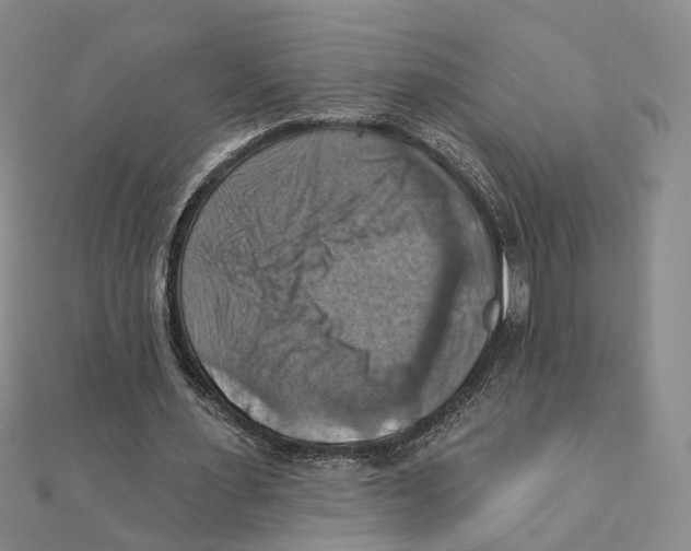 X0000111360483200908071156