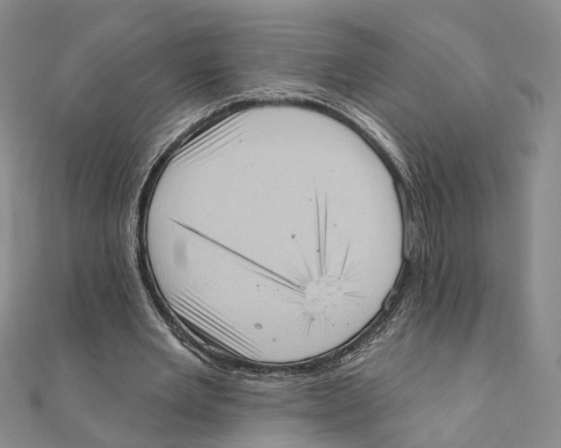 X0000111360485200908071156