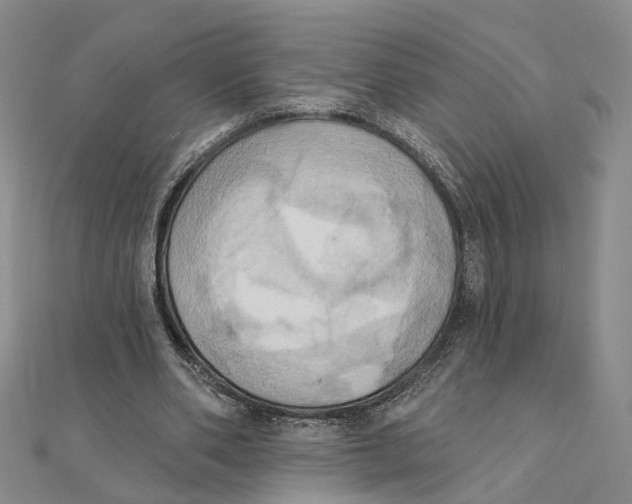 X0000111360486200908071156