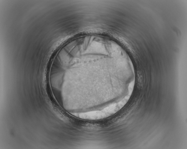 X0000111360487200908071156