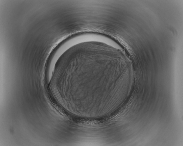 X0000111360488200908071156