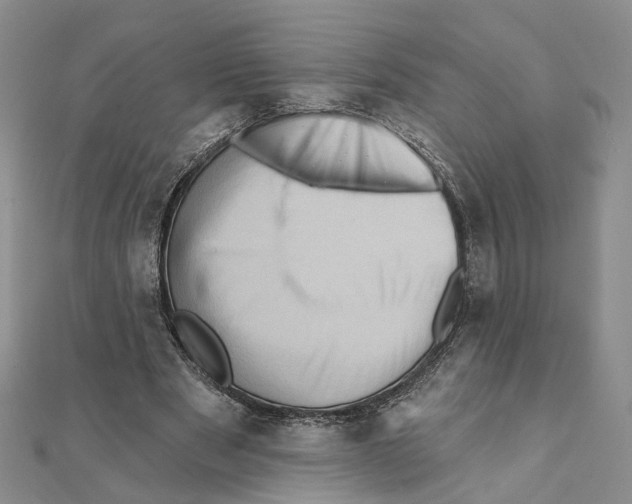 X0000111360489200908071156