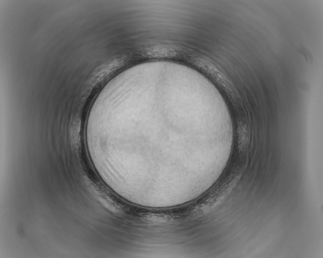 X0000111360490200908071156