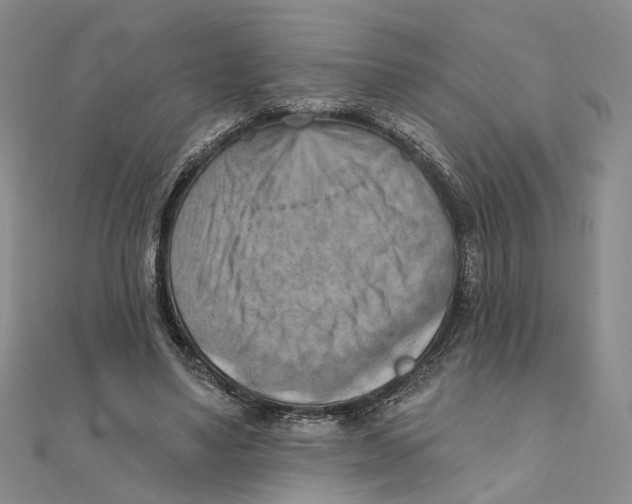 X0000111360491200908071156