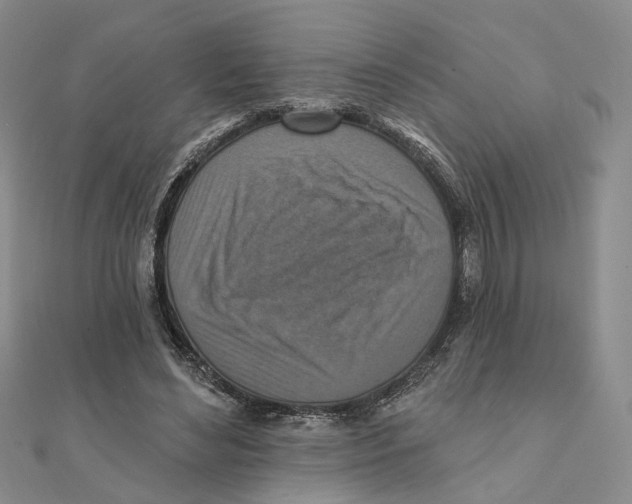 X0000111360492200908071156