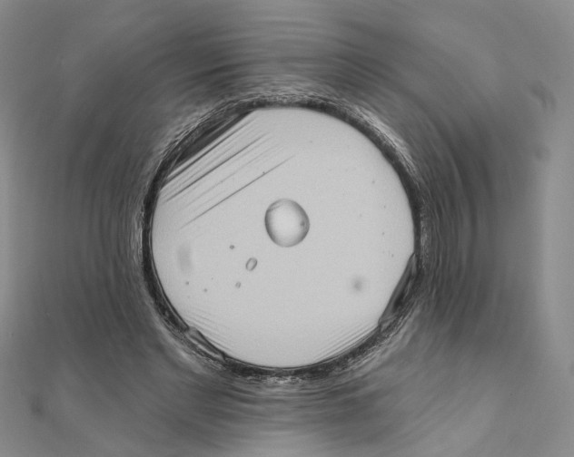 X0000111360493200908071156