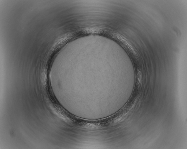 X0000111360494200908071156