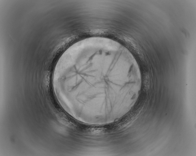 X0000111360495200908071156