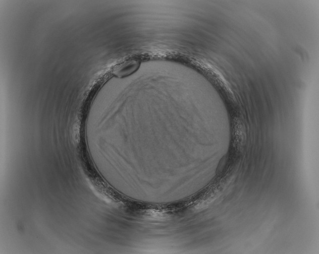 X0000111360496200908071156