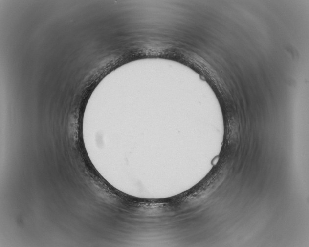 X0000111360497200908071156