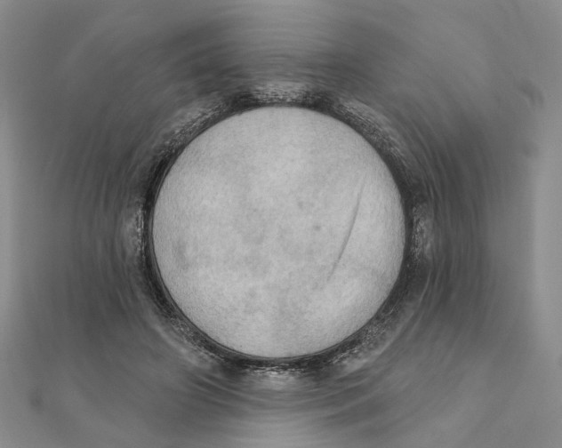 X0000111360498200908071156