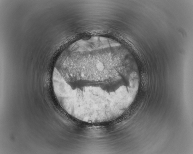 X0000111360499200908071156