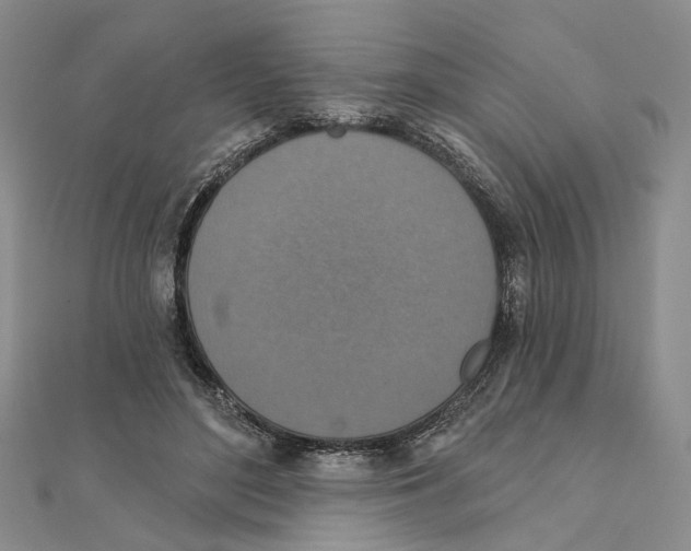 X0000111360500200908071156