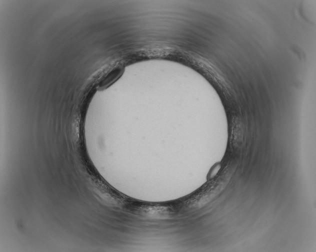 X0000111360501200908071156