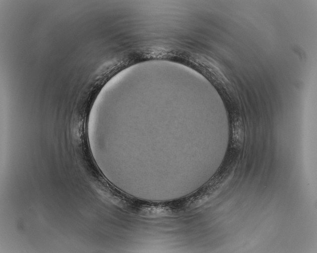 X0000111360503200908071156