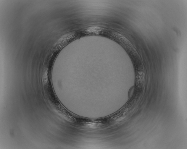 X0000111360504200908071156