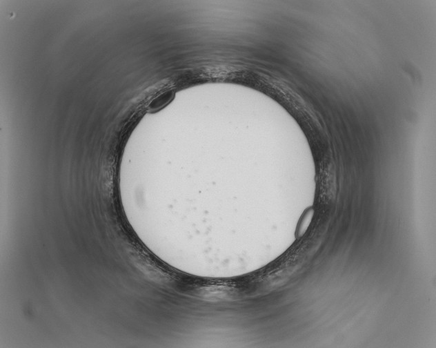 X0000111360505200908071156