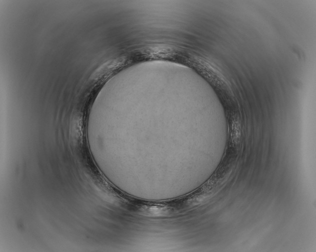 X0000111360506200908071156