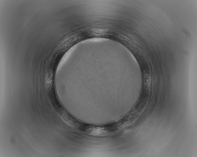 X0000111360507200908071156