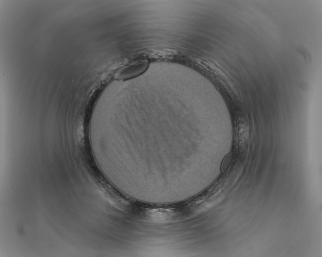 X0000111360508200908071156