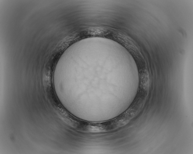 X0000111360510200908071156