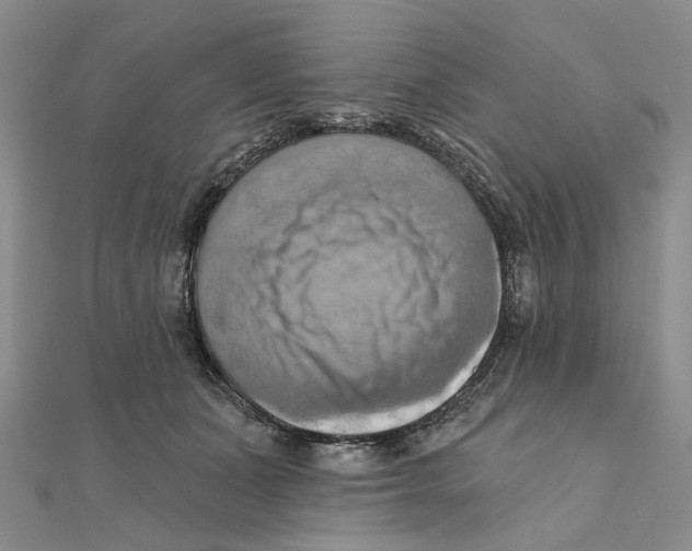 X0000111360511200908071156