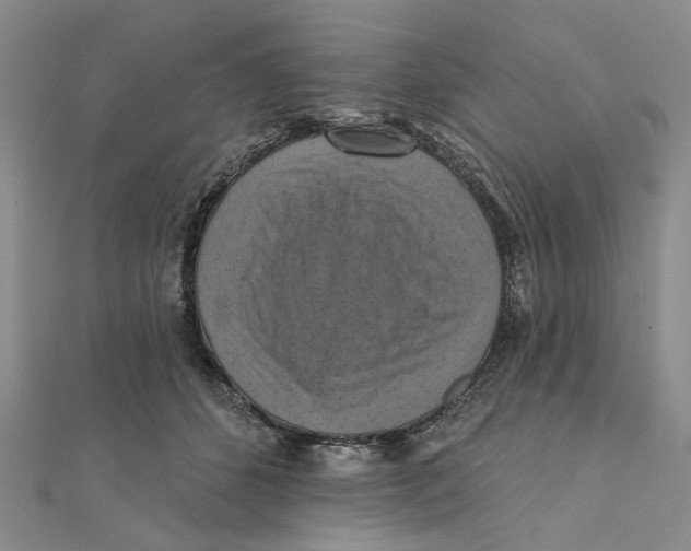 X0000111360512200908071156