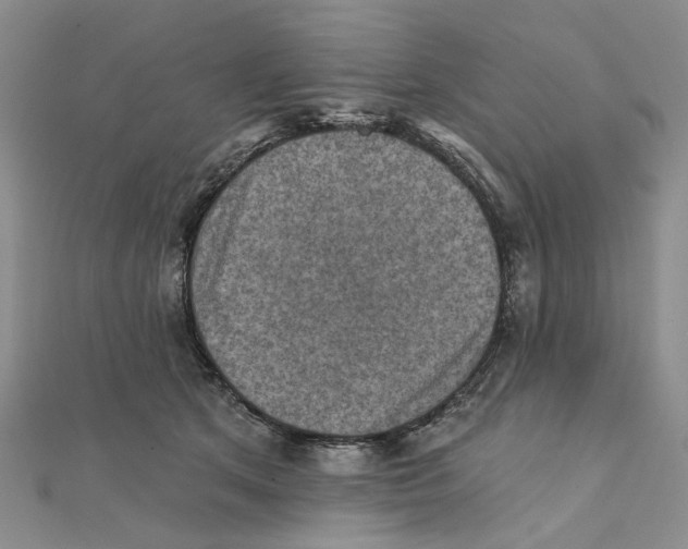 X0000111360513200908071156