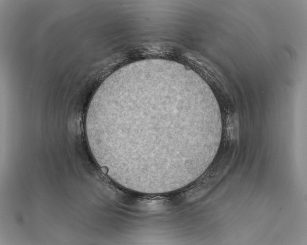 X0000111360514200908071156