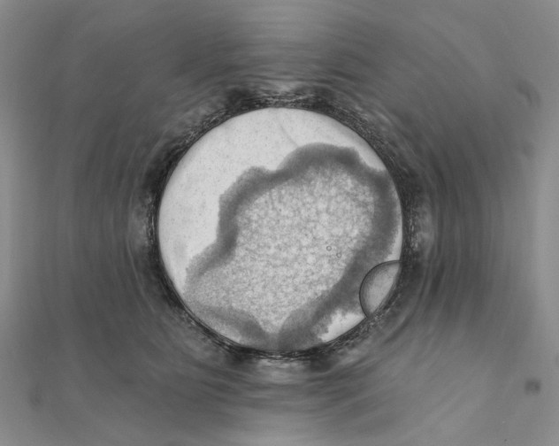 X0000111360515200908071156