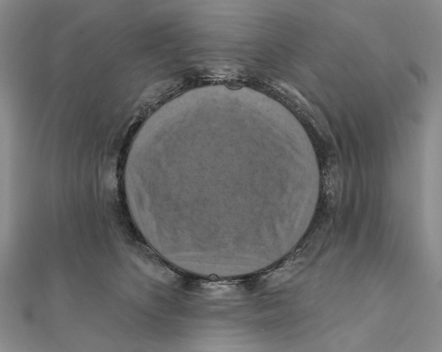 X0000111360516200908071156