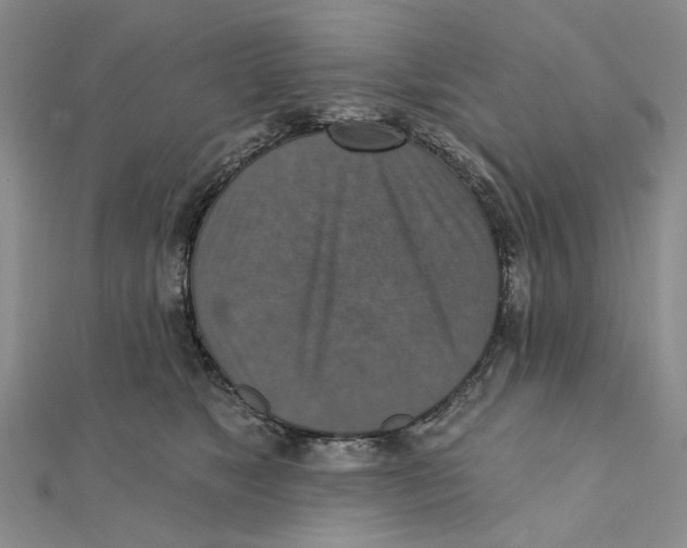 X0000111360517200908071156