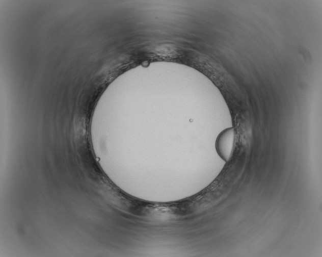 X0000111360518200908071156