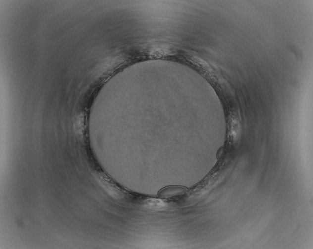 X0000111360519200908071156