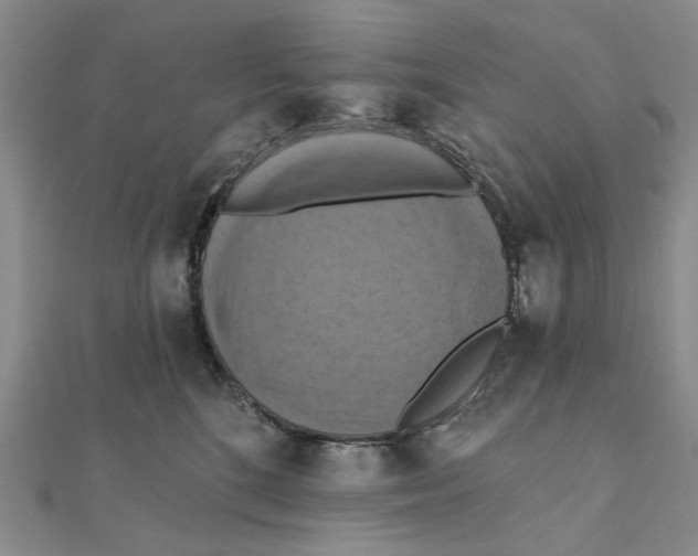 X0000111360520200908071156