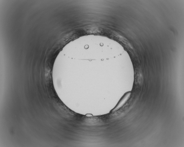 X0000111360521200908071156