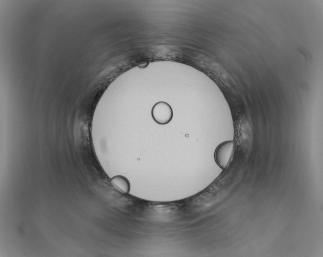 X0000111360522200908071156