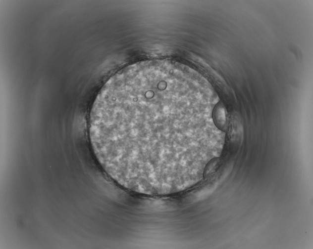 X0000111360523200908071156