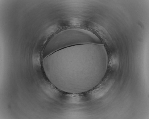 X0000111360524200908071156