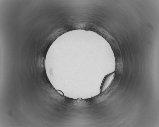 X0000111360525200908071156