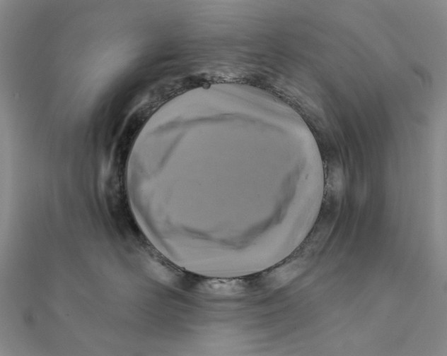 X0000111360526200908071156